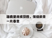 爱游戏体育在线入口-雄鹿堡连续获胜，保级前景一片春意