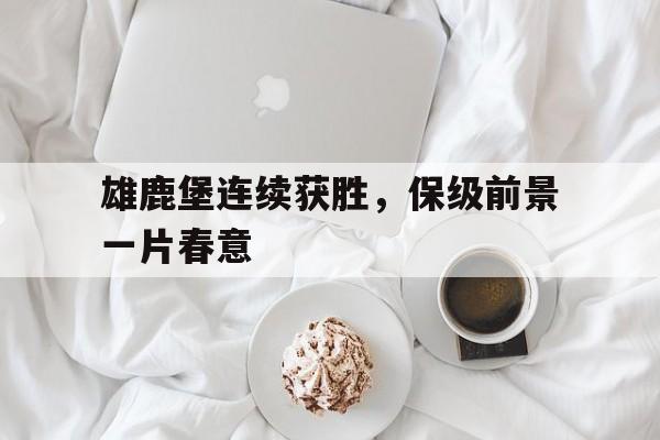 雄鹿堡连续获胜，保级前景一片春意