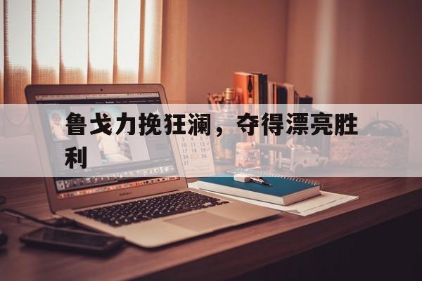鲁戈力挽狂澜，夺得漂亮胜利的简单介绍