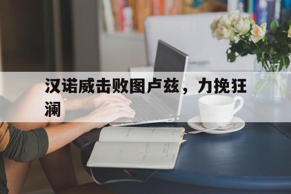 汉诺威击败图卢兹，力挽狂澜的简单介绍